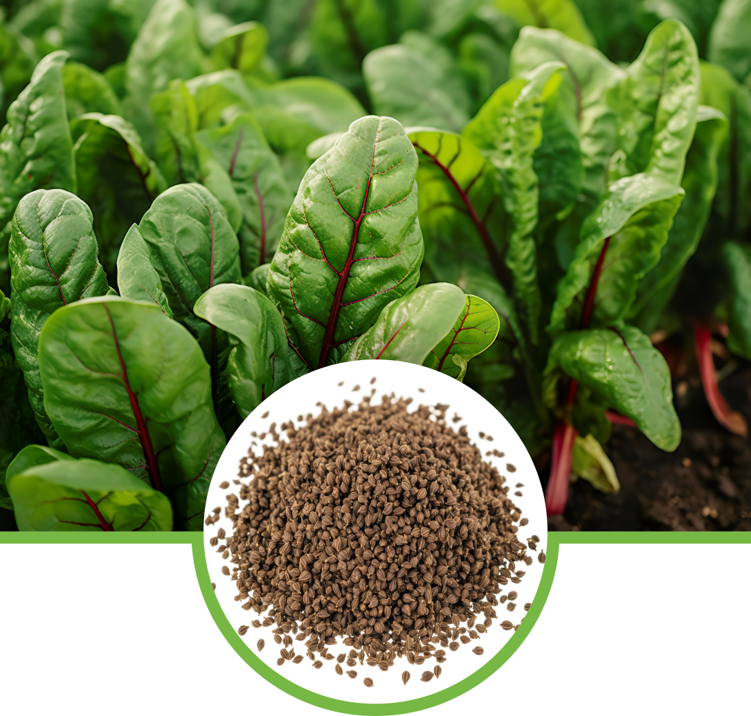 Palak